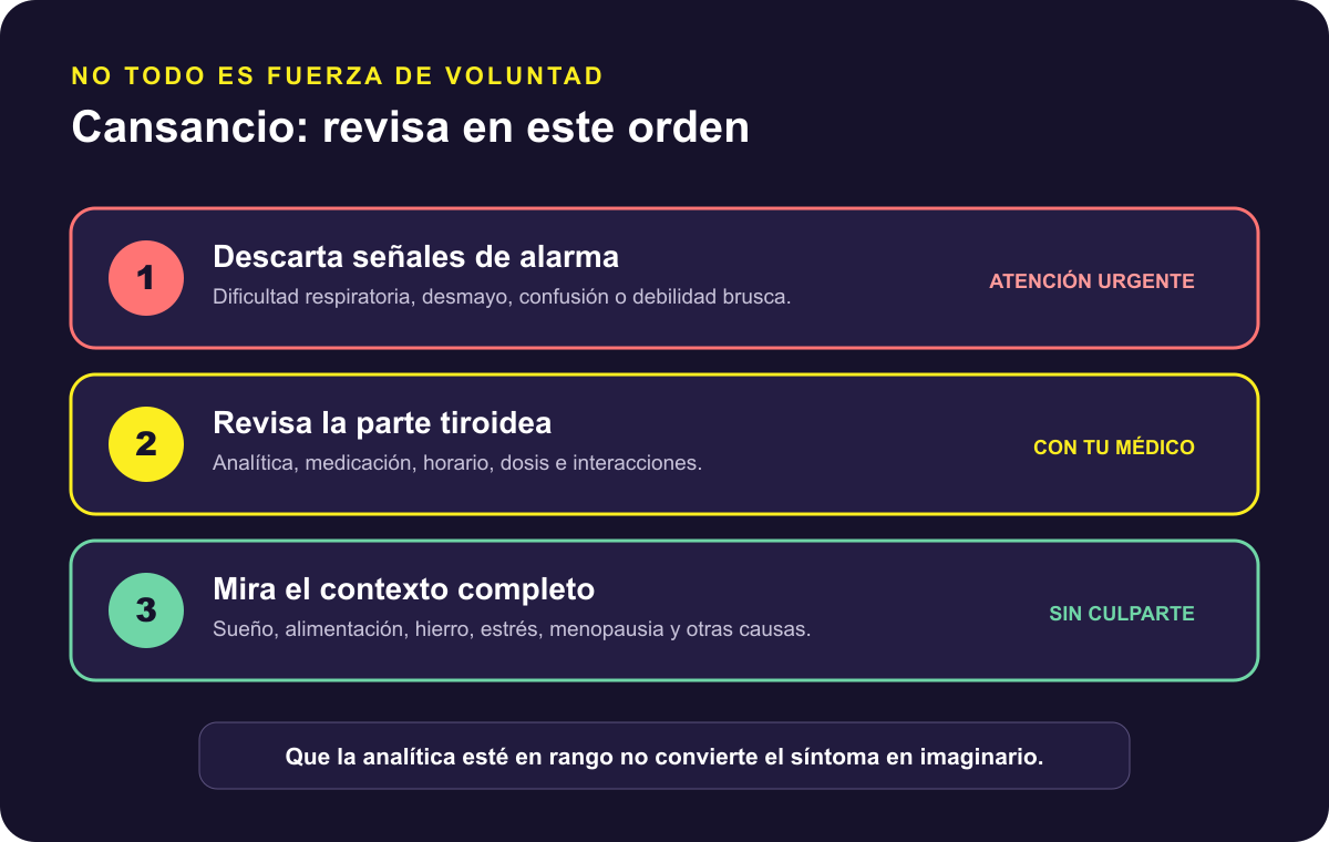 Mapa visual para decidir qué revisar cuando aparece cansancio con hipotiroidismo