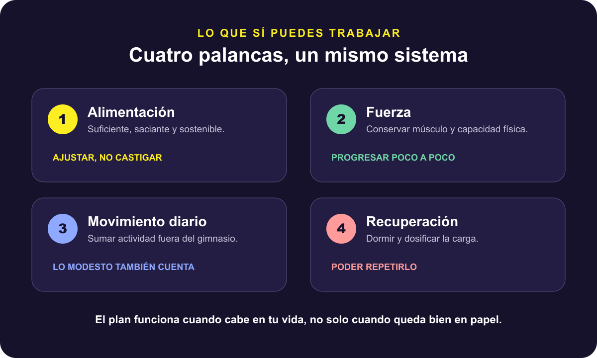 Mapa visual de las cuatro palancas: alimentación sostenible, fuerza, movimiento diario y recuperación